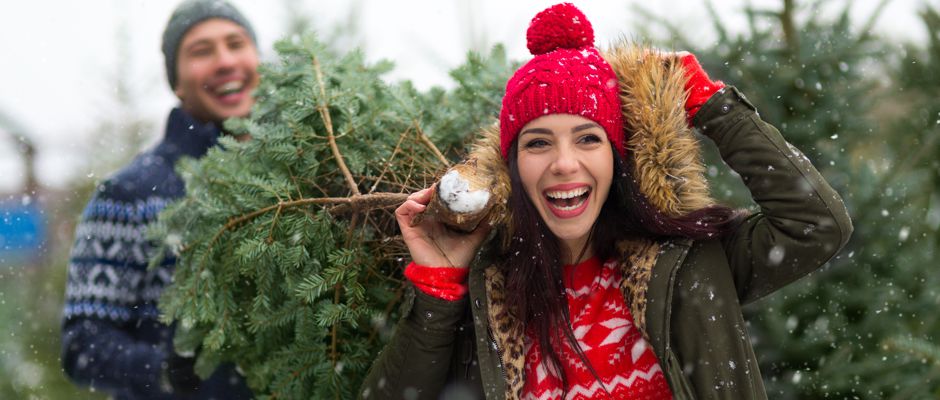 Calgary Christmas Trees for Sale